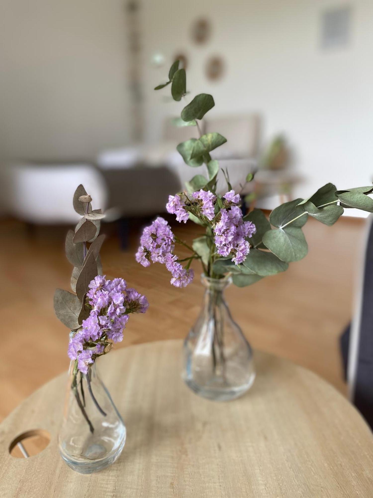 Superbe Appartement Confortable, Proche Centre Ville Rennes Dış mekan fotoğraf